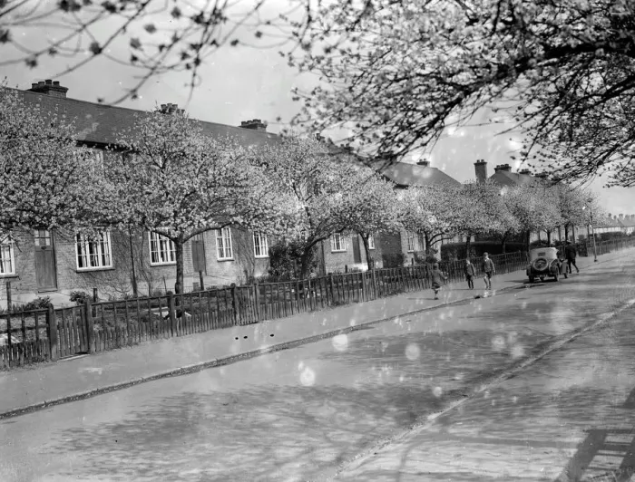 Framed Print : The pink walk. Blossom on the trees in Crayford, Kent. 1936 Framed Print : The pink walk. Blossom on the trees in Crayford, Kent. 1936