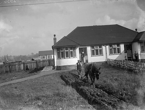 Ploughing up a bungalows front garden in Sidcup. Agriculture in the suburbs. 1935