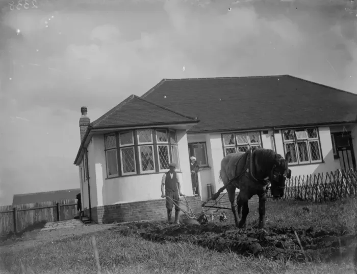 Framed Print : Ploughing up a bungalows front garden in Sidcup. Agriculture in the suburbs. 1935 Framed Print : Ploughing up a bungalows front garden in Sidcup. Agriculture in the suburbs. 1935