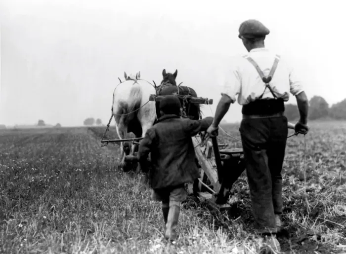 Framed Print : Ploughing, Kingsdown, Kent with old Kent plough 1936
