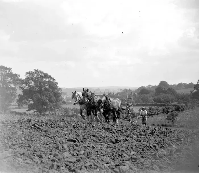 Framed Print : Ploughing Scene. 1934 Framed Print : Ploughing Scene. 1934