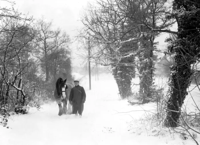 Framed Print : Ploughman and his horse Wrotham Kent 1947 Framed Print : Ploughman and his horse Wrotham Kent 1947