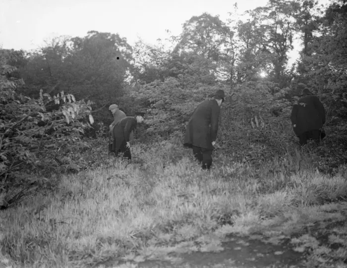 Framed Print : Police search the undergrowth for the lost child in Northcray, Kent Framed Print : Police search the undergrowth for the lost child in Northcray, Kent