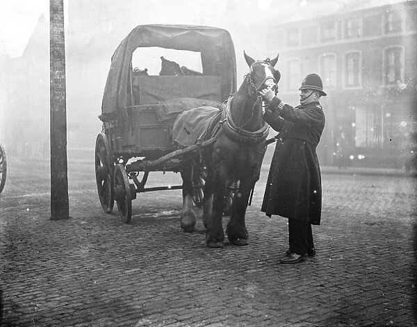 Policemen inspect a horse. (PC Dent) 1933