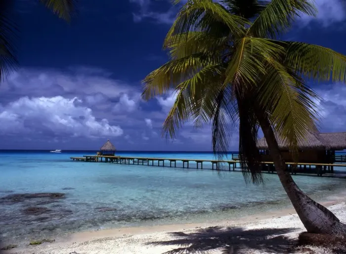 Framed Print : Polynesia Rangiroa Framed Print : Polynesia Rangiroa