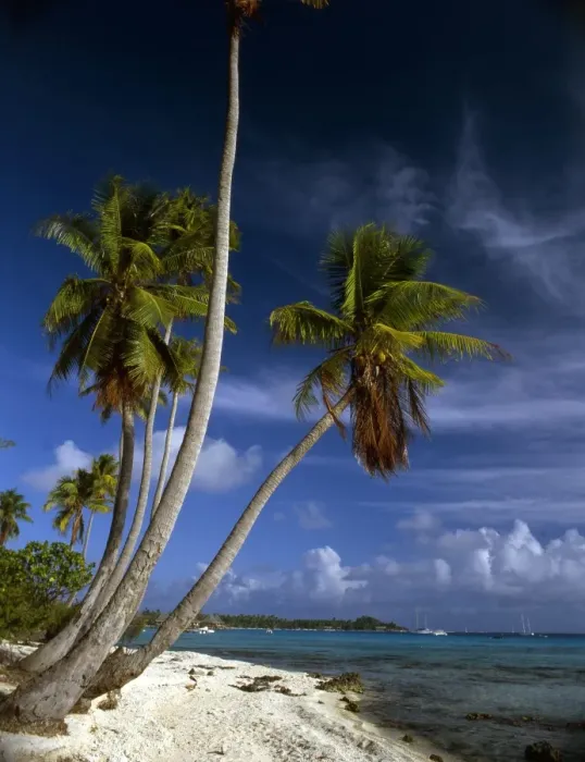 Framed Print : Polynesia Rangiroa Framed Print : Polynesia Rangiroa