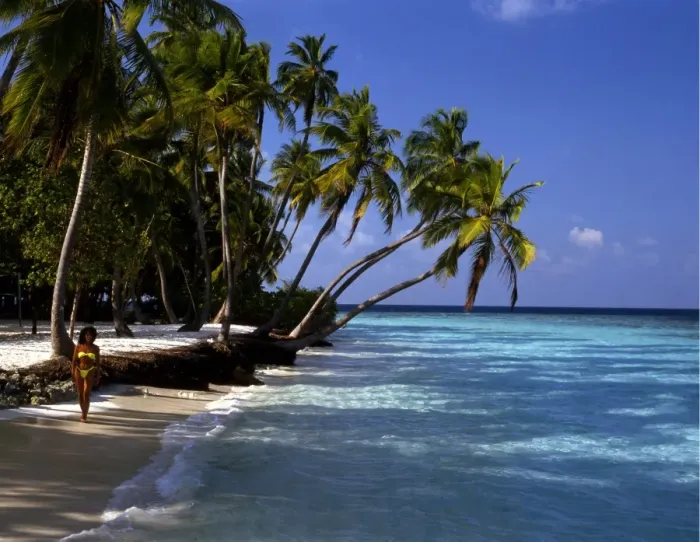 Framed Print : Polynesia Tahiti Moorea Island