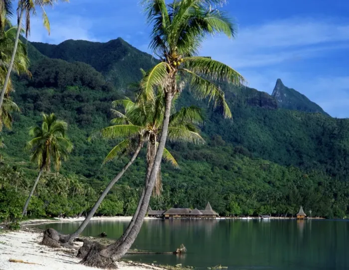 Framed Print : Polynesia Tahiti Moorea Island Framed Print : Polynesia Tahiti Moorea Island