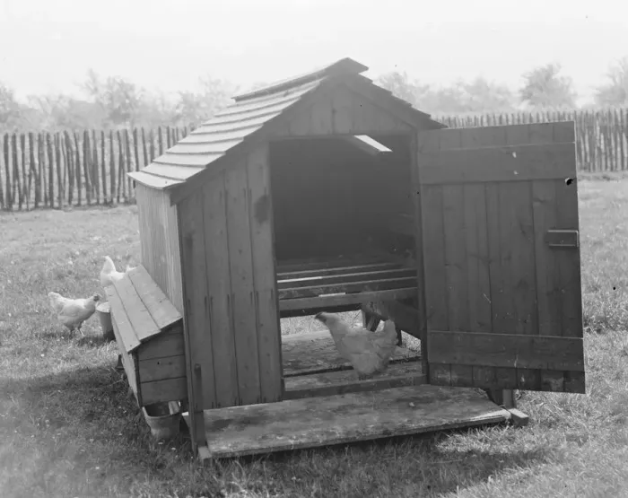 Framed Print : A poultry house. 1939
