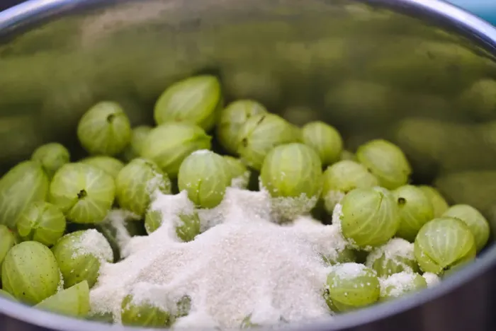 Framed Print : Preparing fresh homegrown gooseberries for cooking credit: Marie-Louise Avery / Framed Print : Preparing fresh homegrown gooseberries for cooking credit: Marie-Louise Avery /