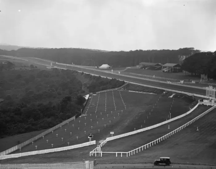 Framed Print : The prettiest racecourse in England. Panoram of Goodwood race course. 27 July 1929 Framed Print : The prettiest racecourse in England. Panoram of Goodwood race course. 27 July 1929