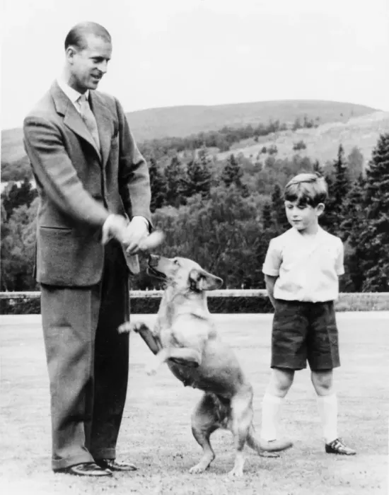 Framed Print : Prince Charles looks on as the HRH Duke of Edinburghs dog Candy plays with his Framed Print : Prince Charles looks on as the HRH Duke of Edinburghs dog Candy plays with his