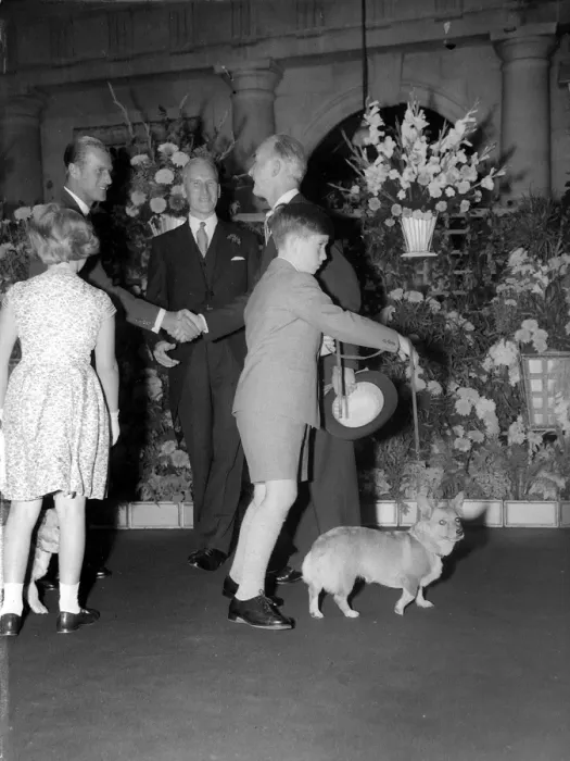 Framed Print : Prince Charles pushes the lead forward to guide the royal corgi at Euston Station Framed Print : Prince Charles pushes the lead forward to guide the royal corgi at Euston Station
