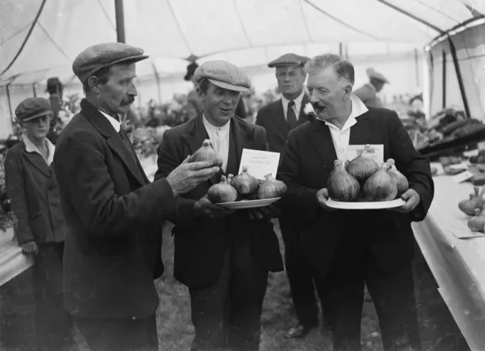 Framed Print : Prizewinners at a Horitcultural Garden show. 1935 Framed Print : Prizewinners at a Horitcultural Garden show. 1935