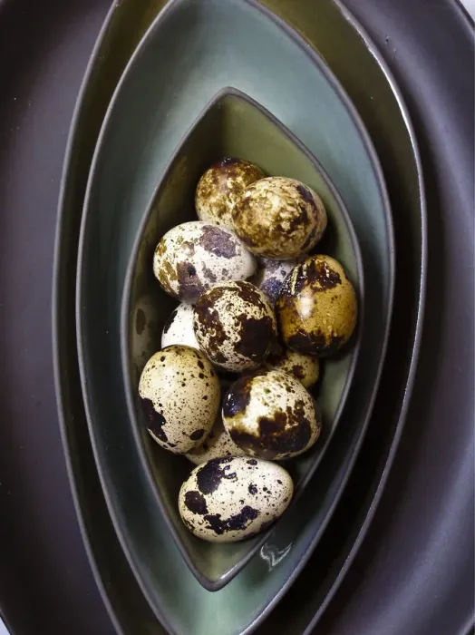 Framed Print : Quails eggs in their shells in dark green bowls stacked credit: Marie-Louise Avery Framed Print : Quails eggs in their shells in dark green bowls stacked credit: Marie-Louise Avery