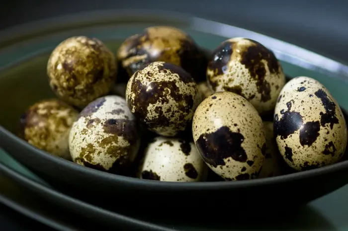 Framed Print : Quails eggs in their shells in dark green bowls stacked credit: Marie-Louise Avery