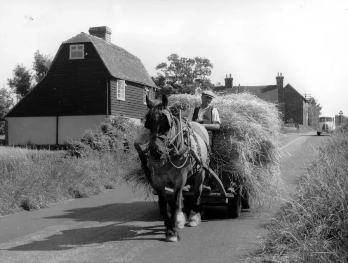 Framed Print : Down a Quiet Country Lane 3 August 1956 Framed Print : Down a Quiet Country Lane 3 August 1956