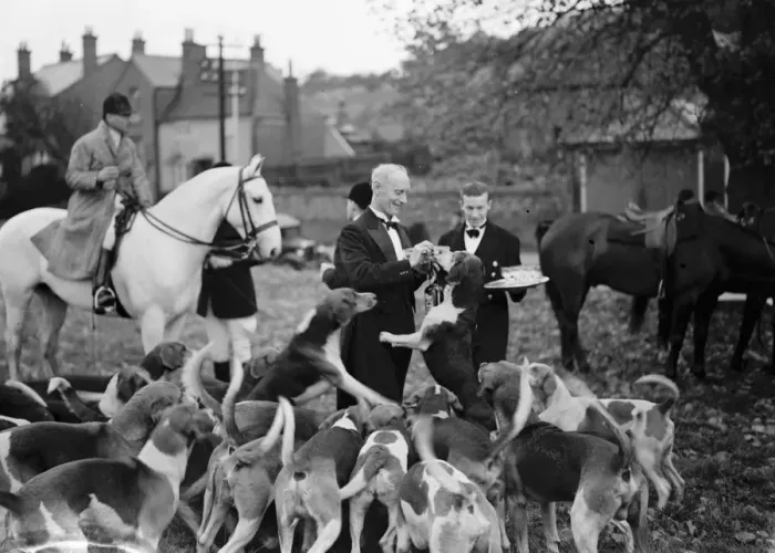 Framed Print : R A Draghunt. Captain Bolton with the hounds. While the waiters provide titbits Framed Print : R A Draghunt. Captain Bolton with the hounds. While the waiters provide titbits