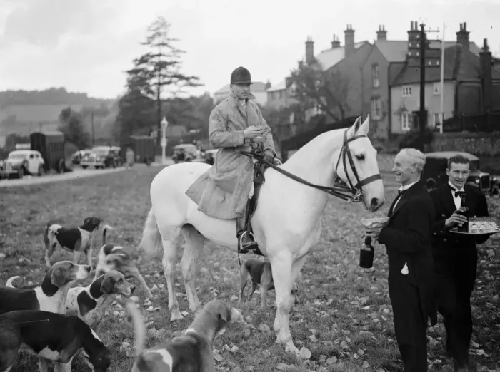 Framed Print : R A Draghunt. Captain Bolton with the hounds. 25 October 1937 Framed Print : R A Draghunt. Captain Bolton with the hounds. 25 October 1937