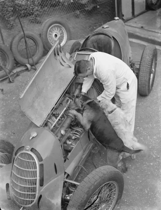 Framed Print : A racing driver and two dogs check the engine of a racing car. 1939 Framed Print : A racing driver and two dogs check the engine of a racing car. 1939