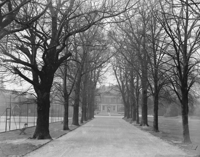 Framed Print : At the Ranelagh Club, Barnes, West London, the avenue of trees leading up to the Club House