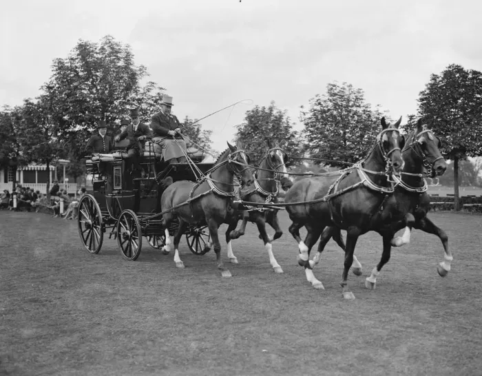 Framed Print : Ranelagh polo pony show. Mr W A Burrows wining four in hand. 1926 Framed Print : Ranelagh polo pony show. Mr W A Burrows wining four in hand. 1926