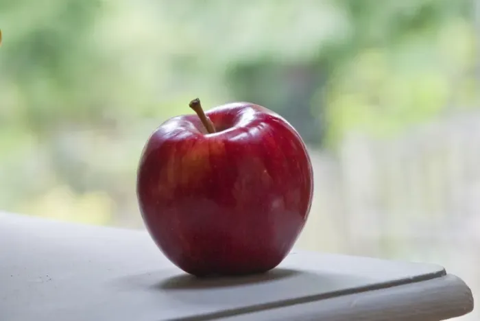 Framed Print : One whole red apple in natural setting credit: Marie-Louise Avery / thePictureKitchen Framed Print : One whole red apple in natural setting credit: Marie-Louise Avery / thePictureKitchen