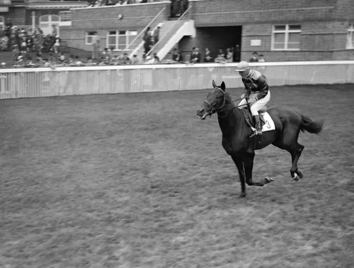Framed Print : Renardo at Goodwood Racecourse. 1937