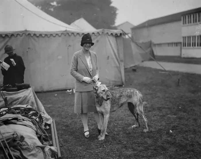 Framed Print : Richmond dog show. Lady Margaret Hamilton with the Irish wolfhound owned by her mother Framed Print : Richmond dog show. Lady Margaret Hamilton with the Irish wolfhound owned by her mother