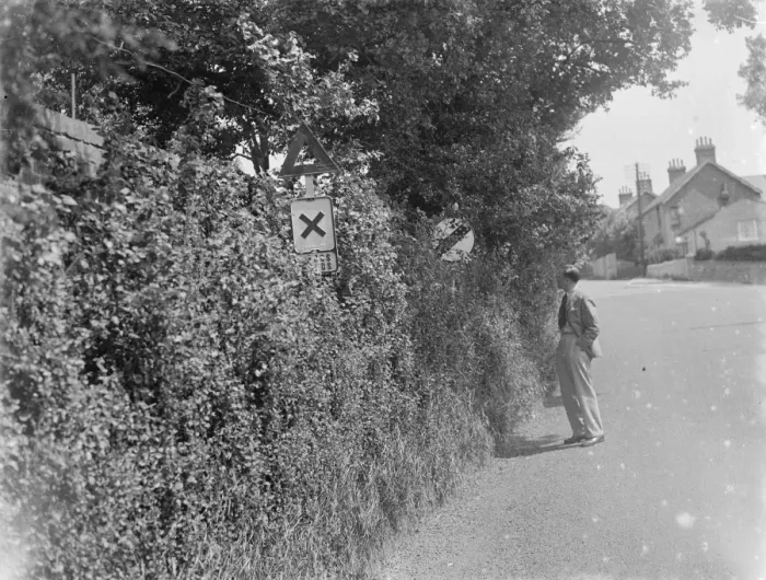 Framed Print : Road signs obscured by the over grown hedges in Farningham, Kent. 1937