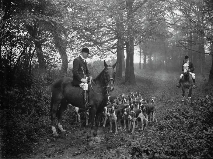 Framed Print : Royal Artillery Hunt scene. 1934 Framed Print : Royal Artillery Hunt scene. 1934