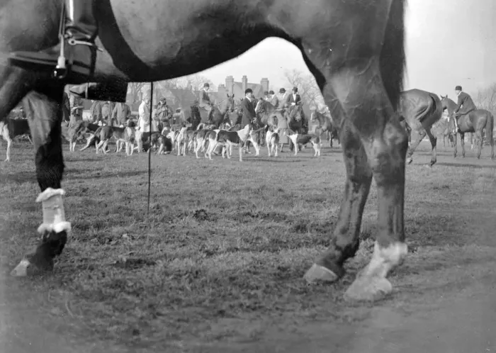 Framed Print : Royal Artillery (RA) drag hunt at Chislehurst, Kent. 1934 Framed Print : Royal Artillery (RA) drag hunt at Chislehurst, Kent. 1934