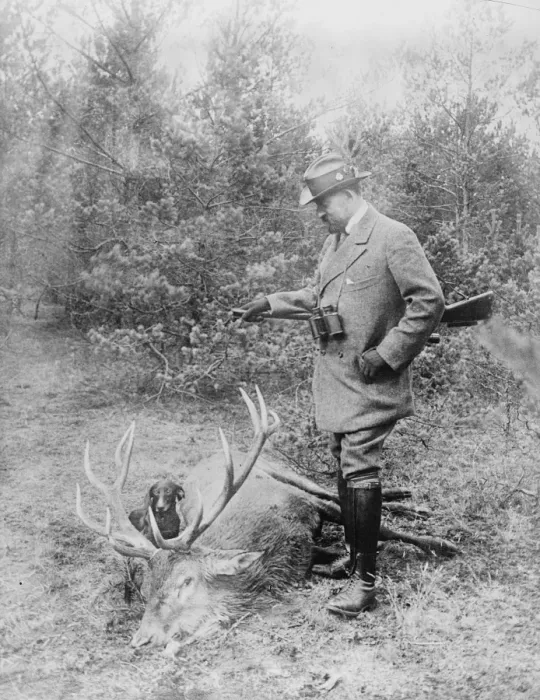 Framed Print : A Royal Stag King of Romania who is enjoying a few weeks hunting in Carpathians