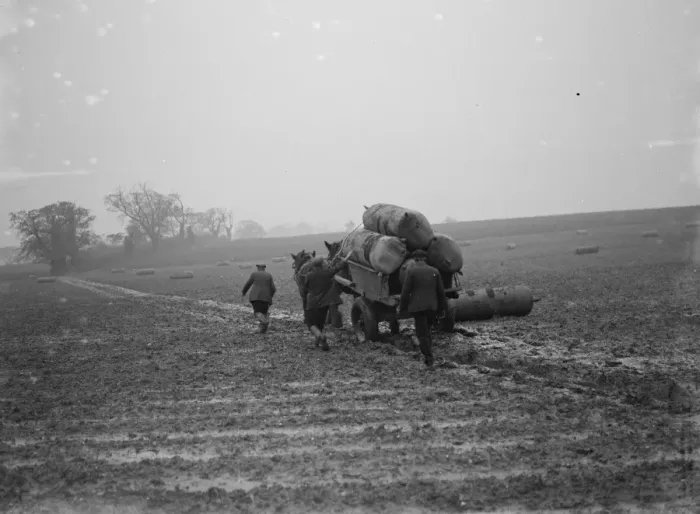 Framed Print : Sacks of surplus hops, which are to be used as manure, stacked on to a horse cart Framed Print : Sacks of surplus hops, which are to be used as manure, stacked on to a horse cart