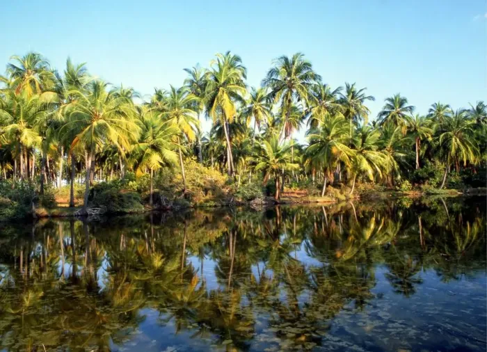 Framed Print : Sacred India Laccadives Lakshadweep The beautiful atoll islands of the Laccadives Framed Print : Sacred India Laccadives Lakshadweep The beautiful atoll islands of the Laccadives