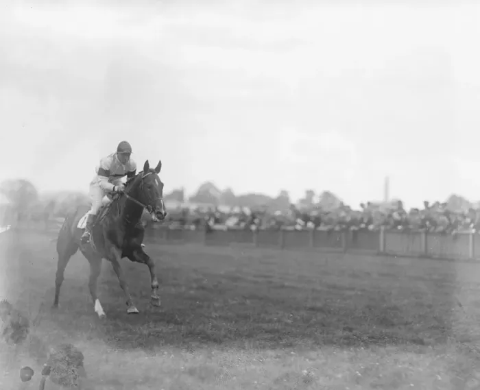 Framed Print : Sandown Park. Town Guard the winner of the race with Archibald up. 15 July 1922 Framed Print : Sandown Park. Town Guard the winner of the race with Archibald up. 15 July 1922