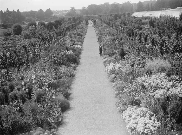 Framed Print : Sandringham gardens, Norfolk 22 August 1929