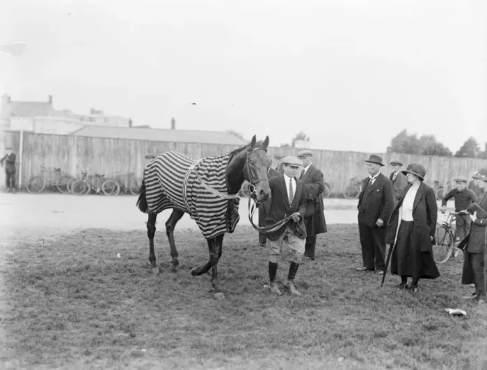 Framed Print : Sansovino racehorse 1924 Framed Print : Sansovino racehorse 1924