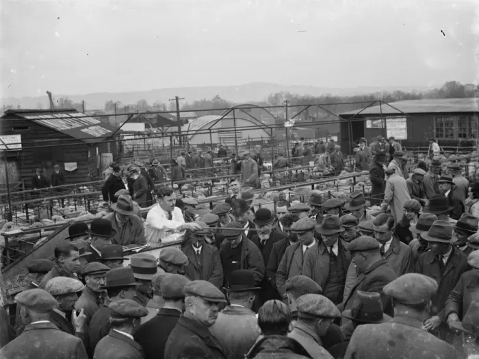 Framed Print : Sevenoaks Market. 1935
