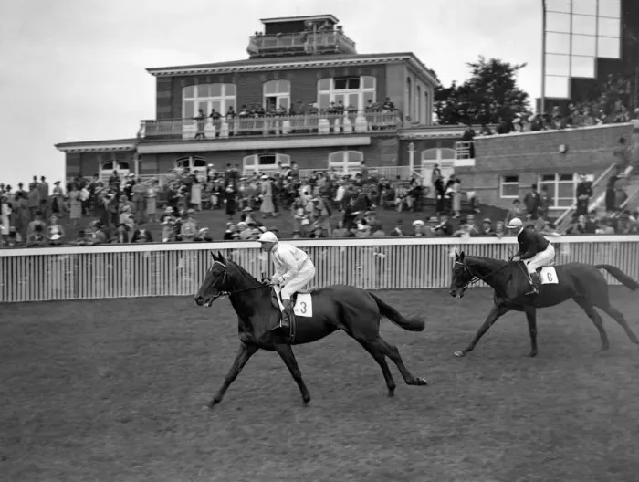 Framed Print : Seventh Wonder ( No 3 ) and Prato ( No 6 ) at Goodwood Racecourse, Sussex