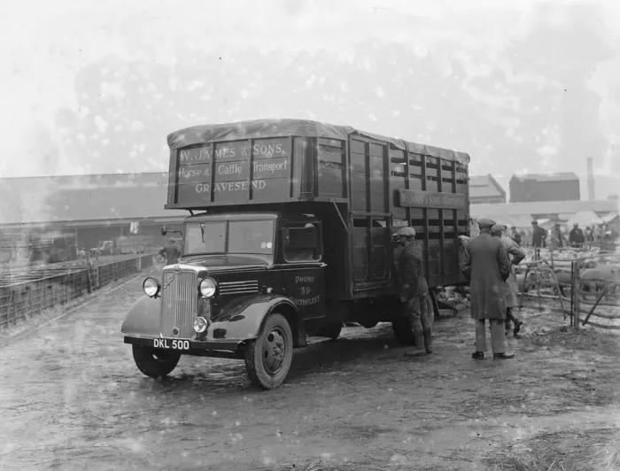Framed Print : Sheep are being loaded up onto a Bedford lorry belonging to W James & Sons Horse