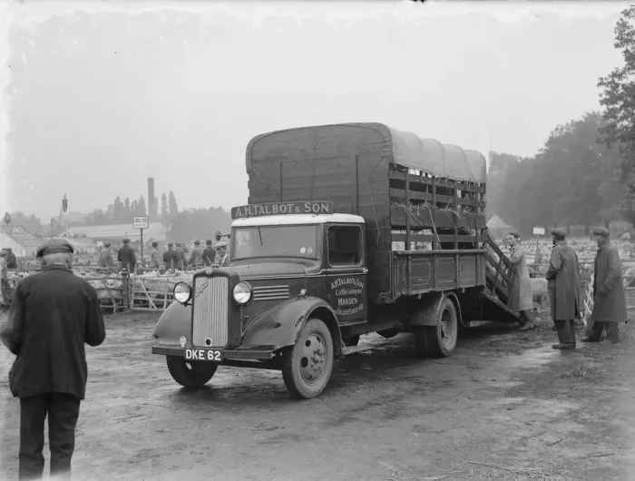 Framed Print : Sheep are being loaded up onto a Bedford lorry belonging to W James & Sons Horse Framed Print : Sheep are being loaded up onto a Bedford lorry belonging to W James & Sons Horse