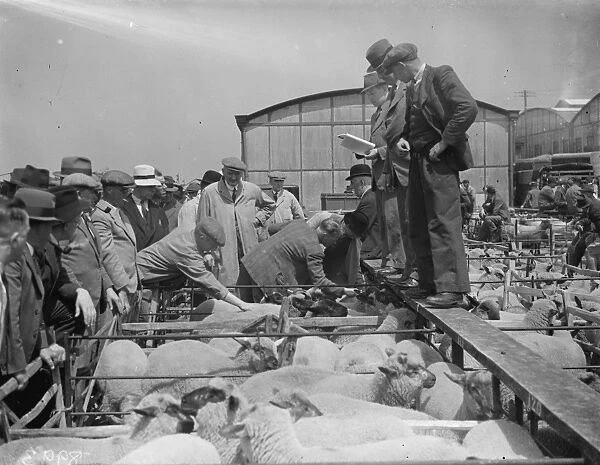 A sheep sale in Gloucester. 10 June 1938