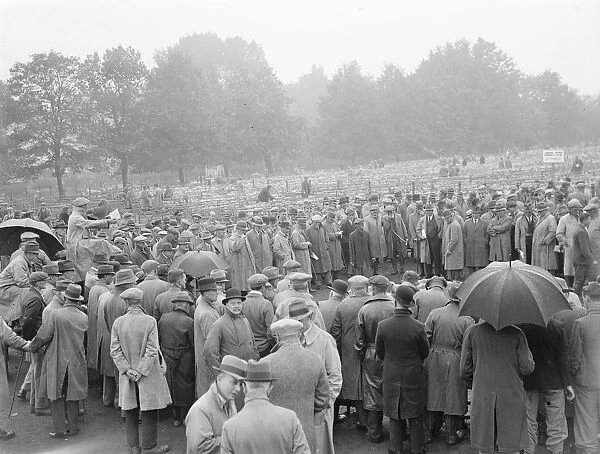 Sheep sale in Maidstone, Kent. 1936