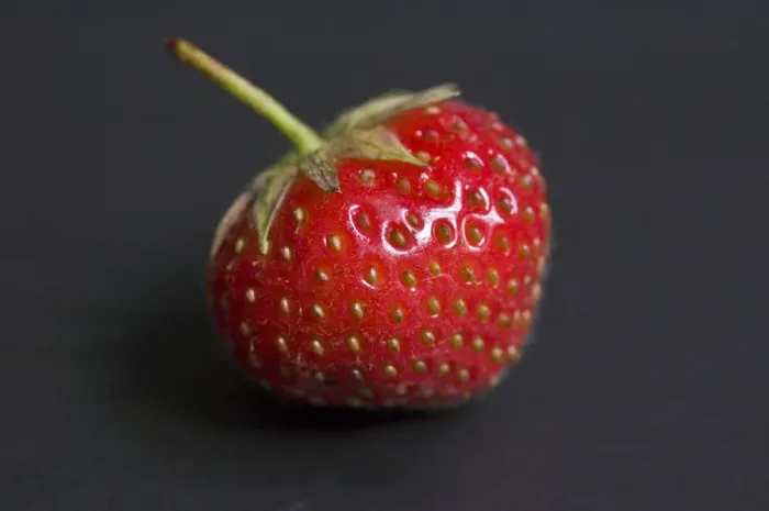 Framed Print : Single strawberry on a black plate credit: Marie-Louise Avery / thePictureKitchen Framed Print : Single strawberry on a black plate credit: Marie-Louise Avery / thePictureKitchen