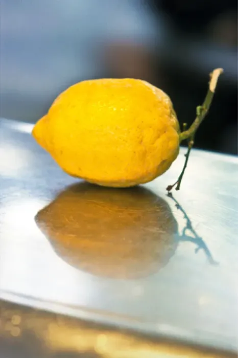 Framed Print : Single yellow lemon on stainless steel counter credit: Marie-Louise Avery / thePictureKitchen Framed Print : Single yellow lemon on stainless steel counter credit: Marie-Louise Avery / thePictureKitchen
