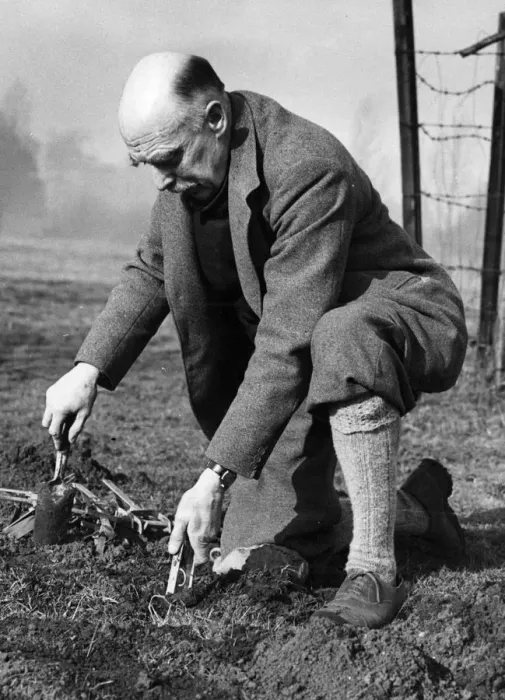 Framed Print : Sir Stephen Tallens seen here setting a mole trap even though he is a Knight Commander Framed Print : Sir Stephen Tallens seen here setting a mole trap even though he is a Knight Commander