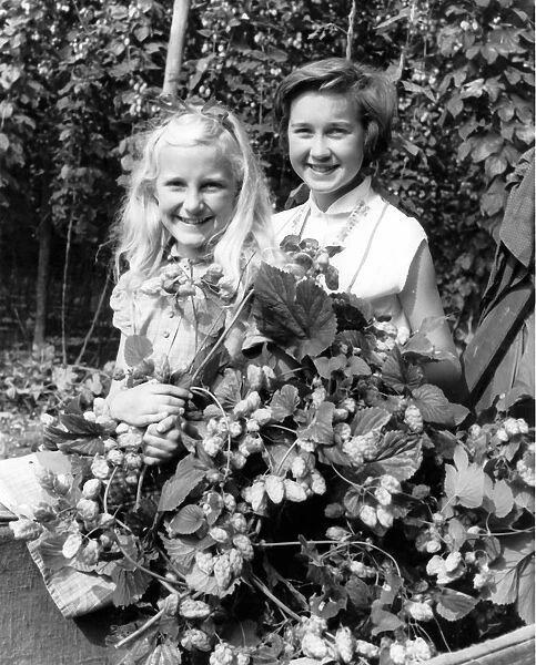 Sisters Angela and Jennifer Hall in the hop fields Paddock Wood Kent 1958