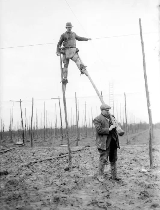 Framed Print : Skilled men walked the hopfields on huge stilts to string the hop poles Kent 1937 Framed Print : Skilled men walked the hopfields on huge stilts to string the hop poles Kent 1937
