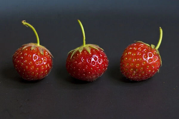 Three small strawberries in a row on black plate credit: Marie-Louise Avery  /  thePictureKitchen